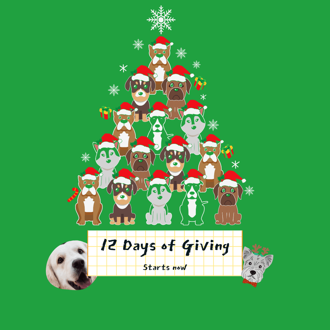 Dope Dog's 12 Days Of Giving 2022 - Dope Dog 