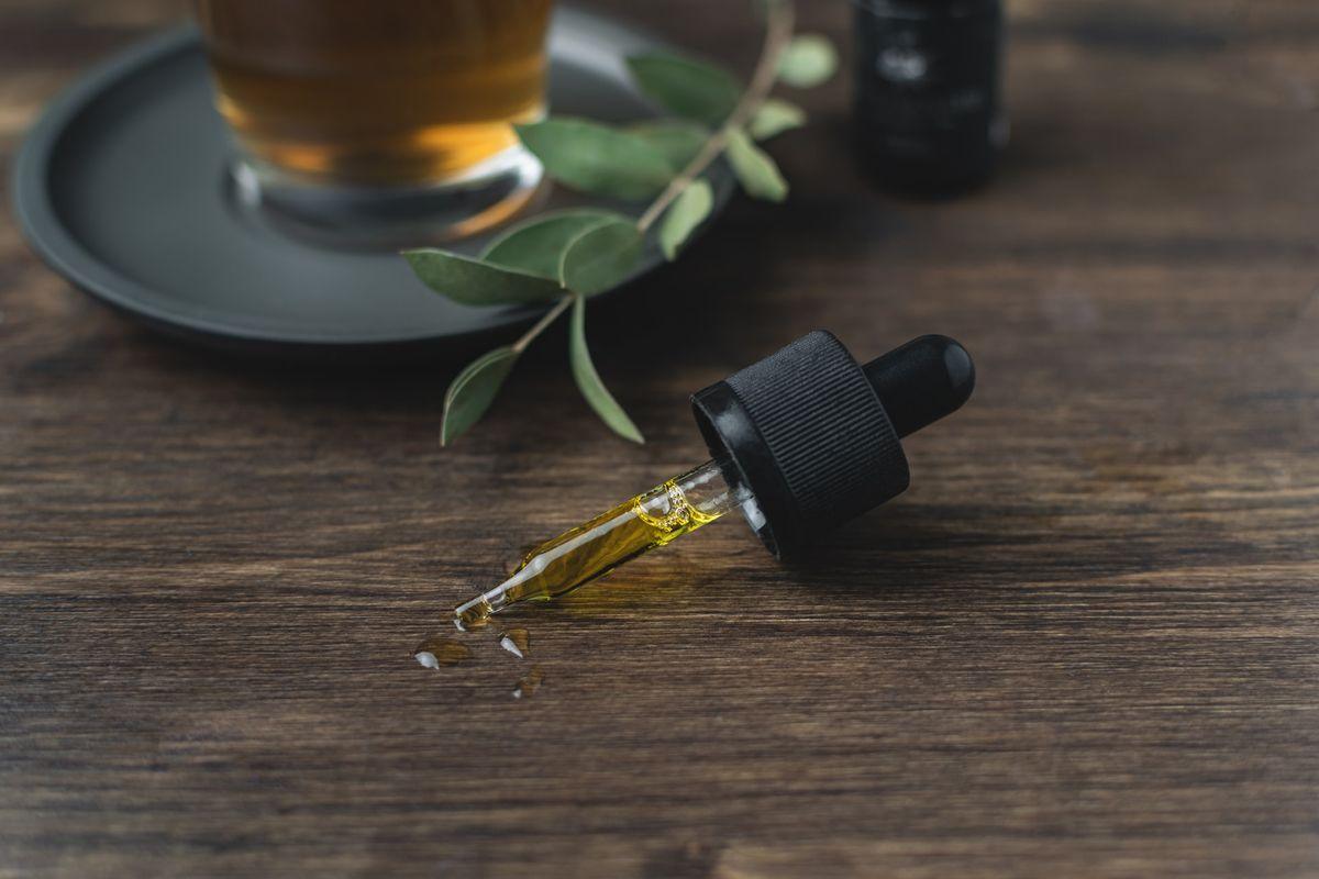 CBD Benefits for Cats: What You Should Know - Dope Dog