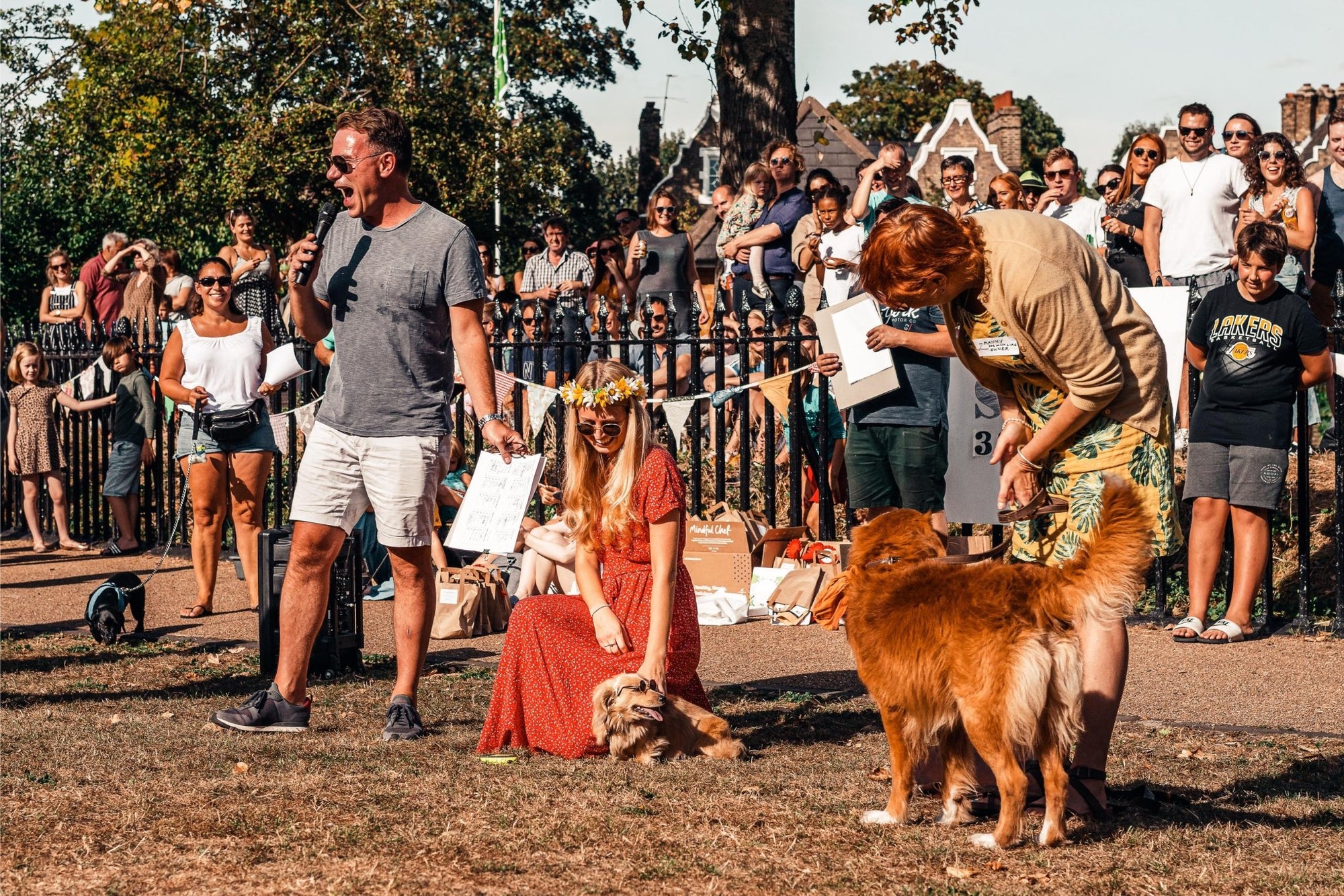 Guide to Onofrio Dog Shows: Participate & Understand