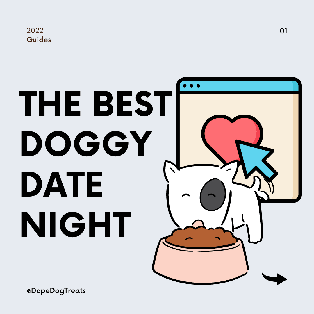 How to have the best doggy date night - Dope Dog