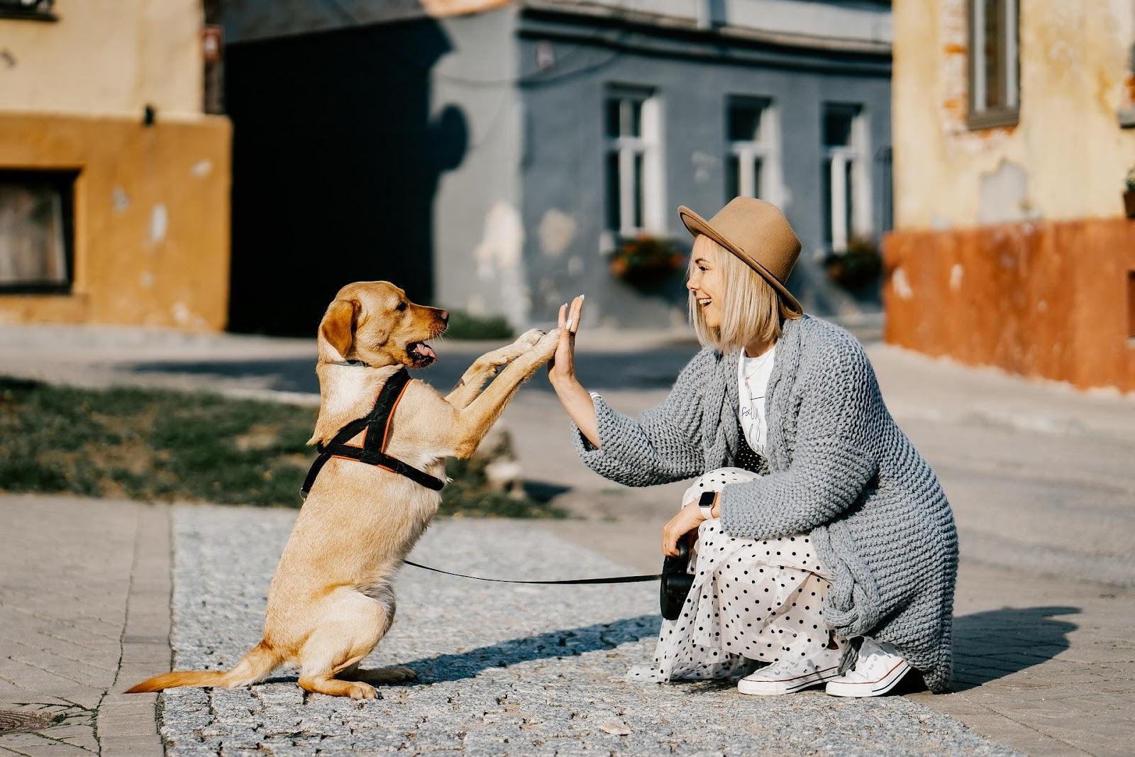 A person and their dog giving a high five outside on the sidewalk.