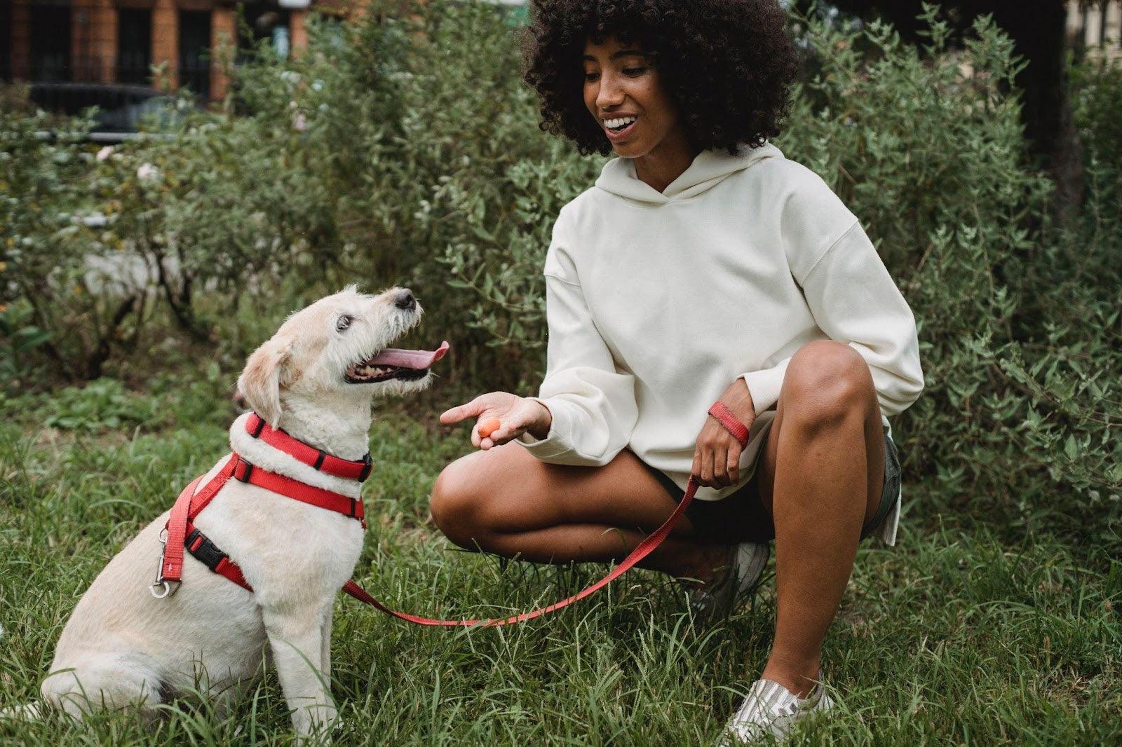 Alt-Text: Young woman feeding a treat to her white dog.