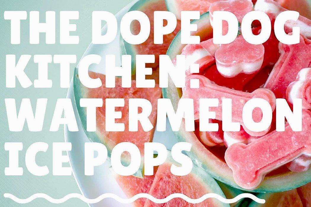 Frozen Watermelon Dog Treat Recipe - Dope Dog