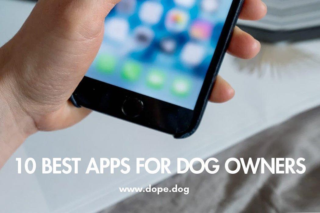 10 Best Apps for Dog Owners - Dope Dog