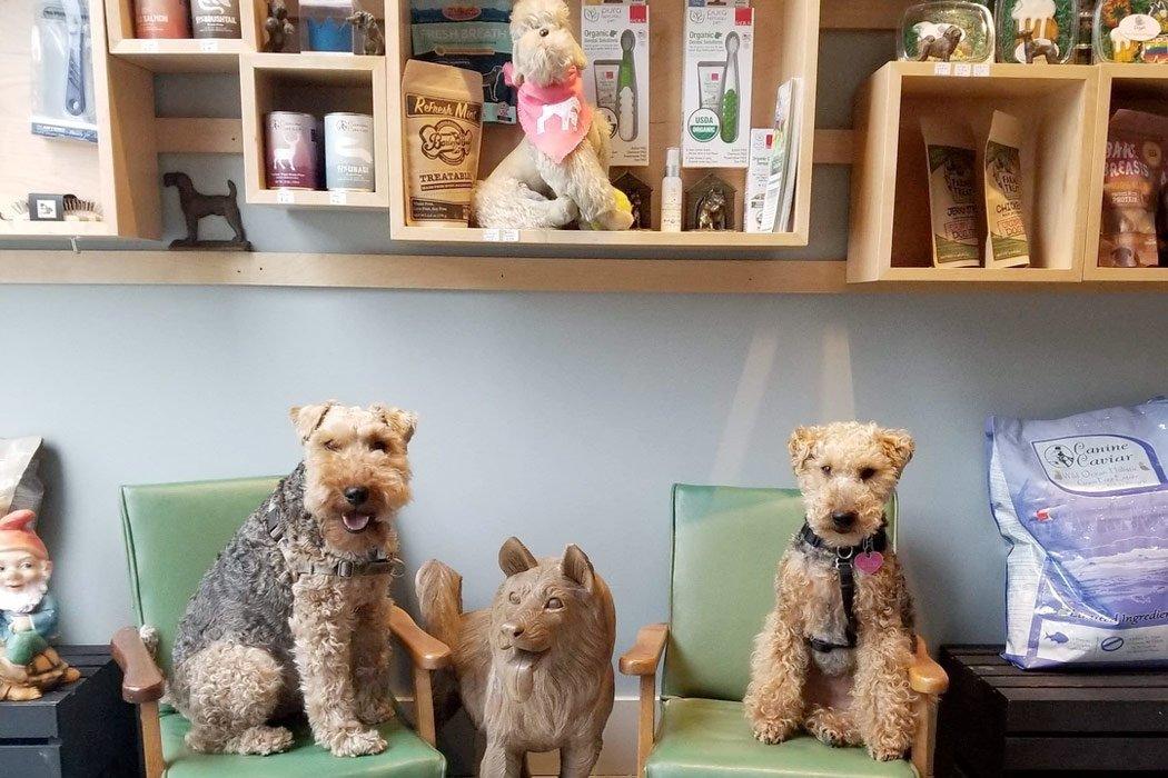 Leading the Pack in Oakland: Meet our favorite anti-pumpkin spice Bay Area boutique! - Dope Dog