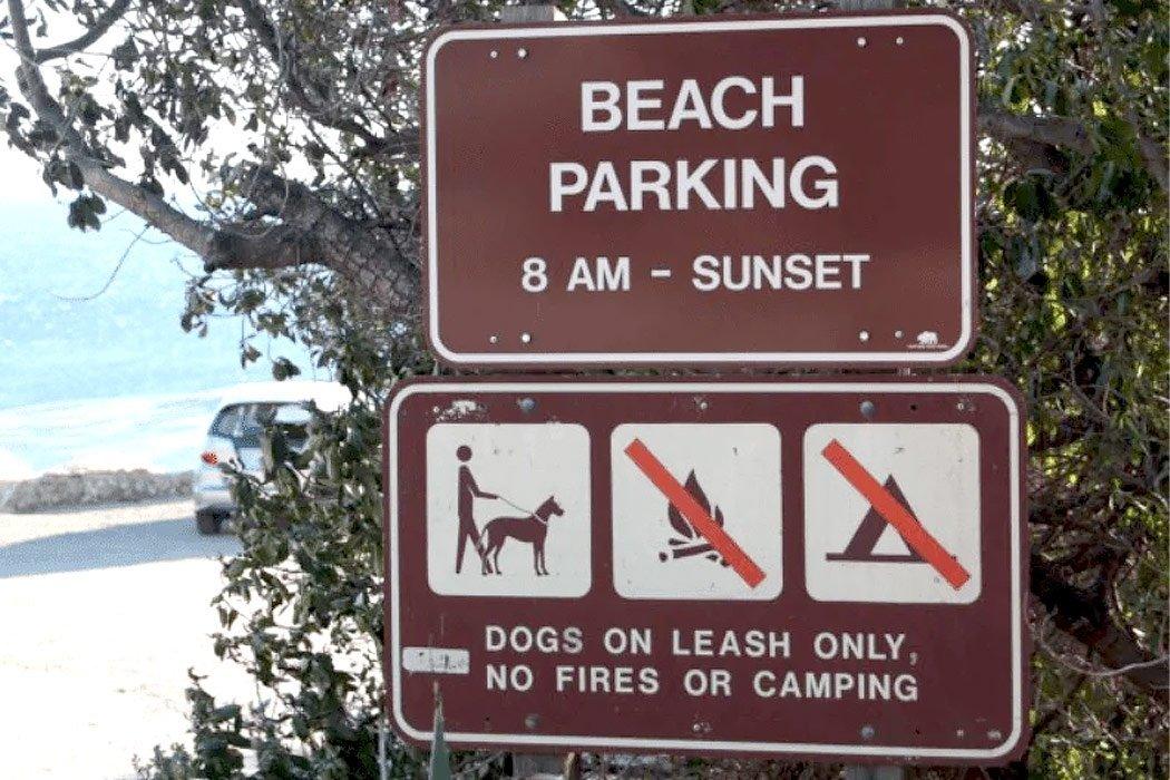 Top 5 Dog Beaches in Los Angeles and Orange County - Dope Dog