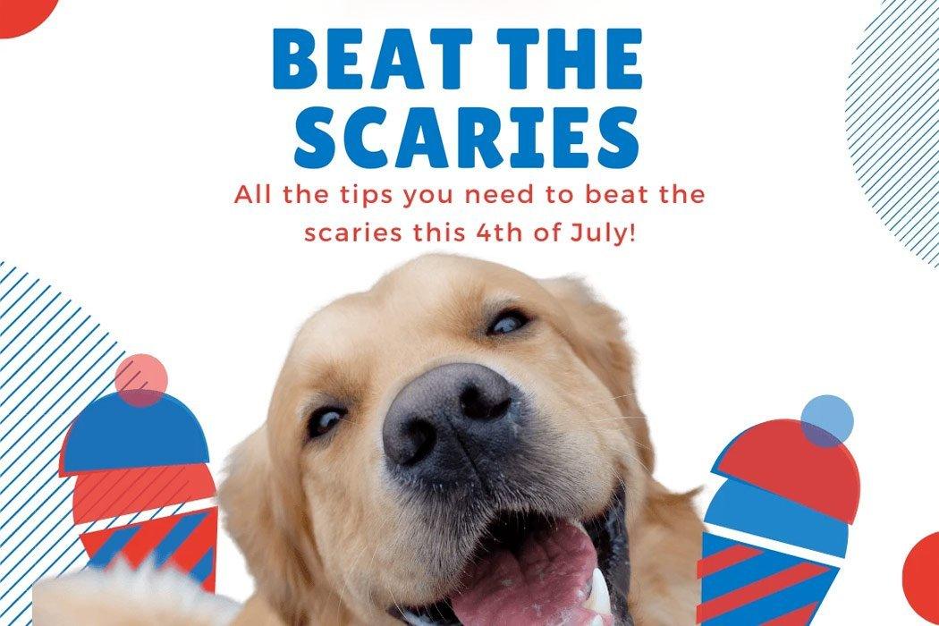 8 Tips to keep your dog calm on the 4th of July - Dope Dog