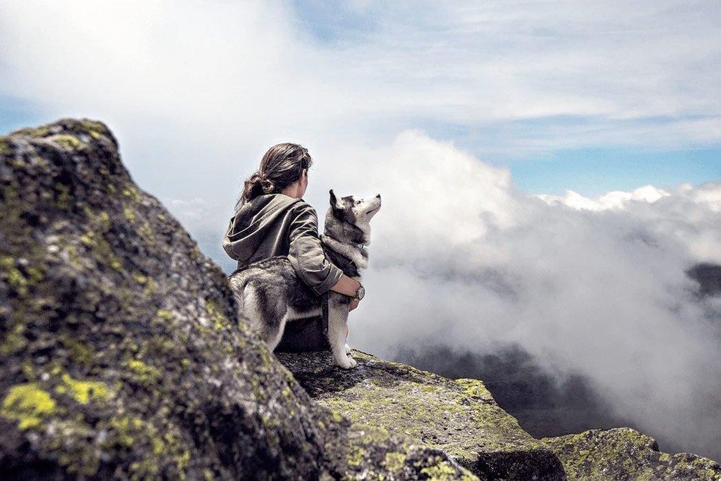 Taking Your Dog on Vacation: What You Need to Bring