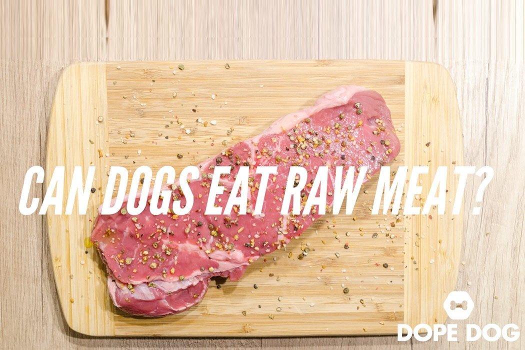 Dogs raw steak sale