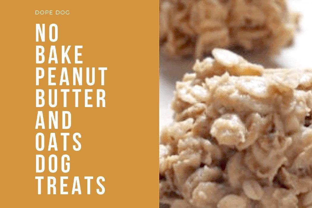 NO BAKE PEANUT BUTTER AND OATS DOG TREATS - Dope Dog 