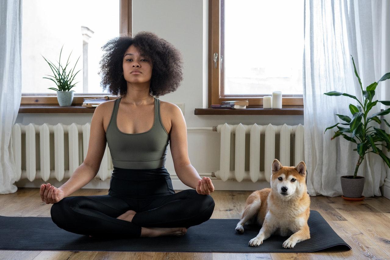 CBD Dog Treats for Joint Pain