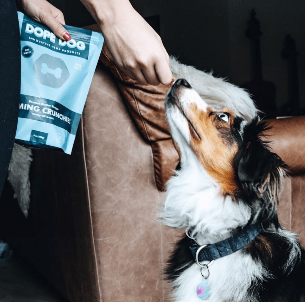 5 reasons you should consider a Dope Dog subscription - Dope Dog