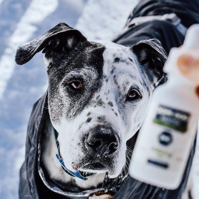 Dope Dropper Calm 500 - Dope Dog