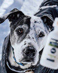 Dope Dropper Calm 500 - Dope Dog