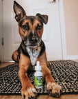 Dope Dropper Calm 200 - Dope Dog