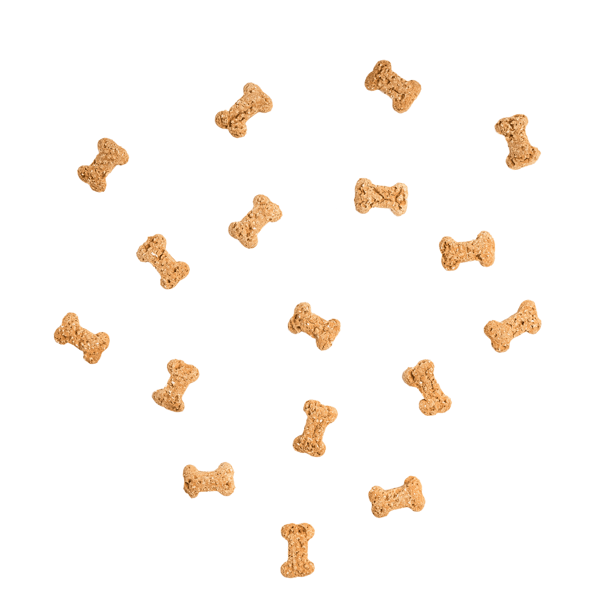 Calming Crunchies - Peanut Butter CBD Dog Treats - Dope Dog