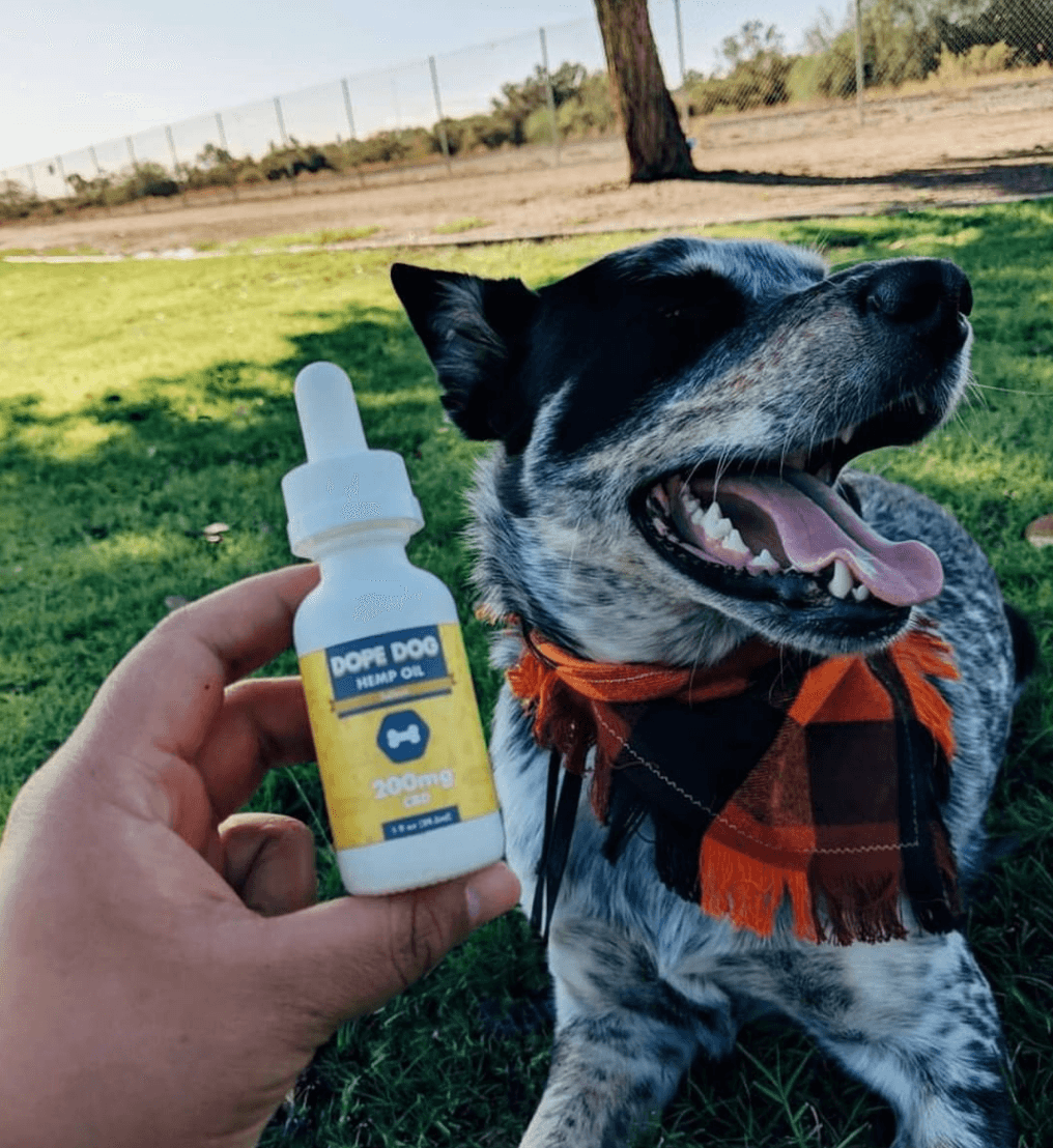 Dope Dropper Mobility 200 - Dope Dog