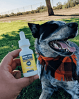 Dope Dropper Mobility 200 - Dope Dog