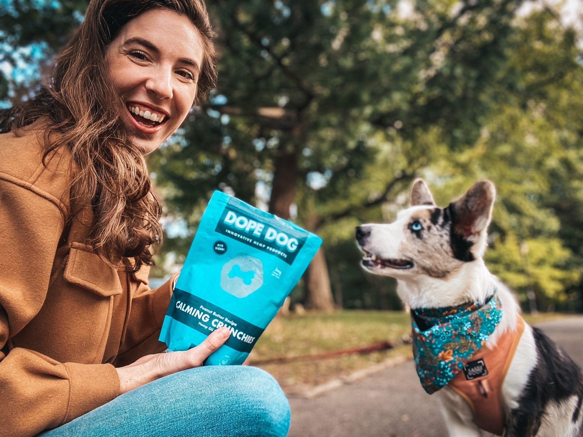 Does CBD Oil Help Dogs With Allergies? - Dope Dog 