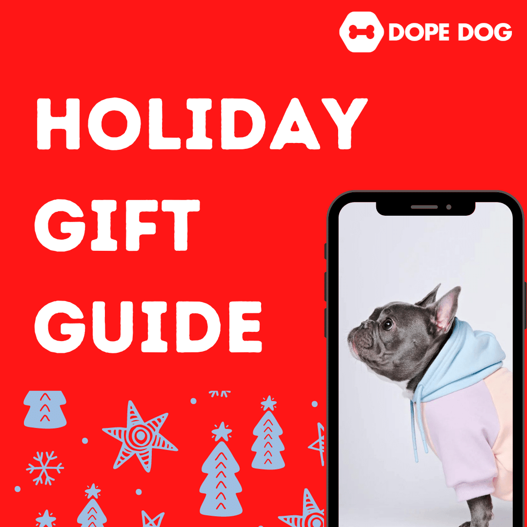 Christmas Gift Guide: Best Gifts For Your Dog 2022 - Dope Dog 
