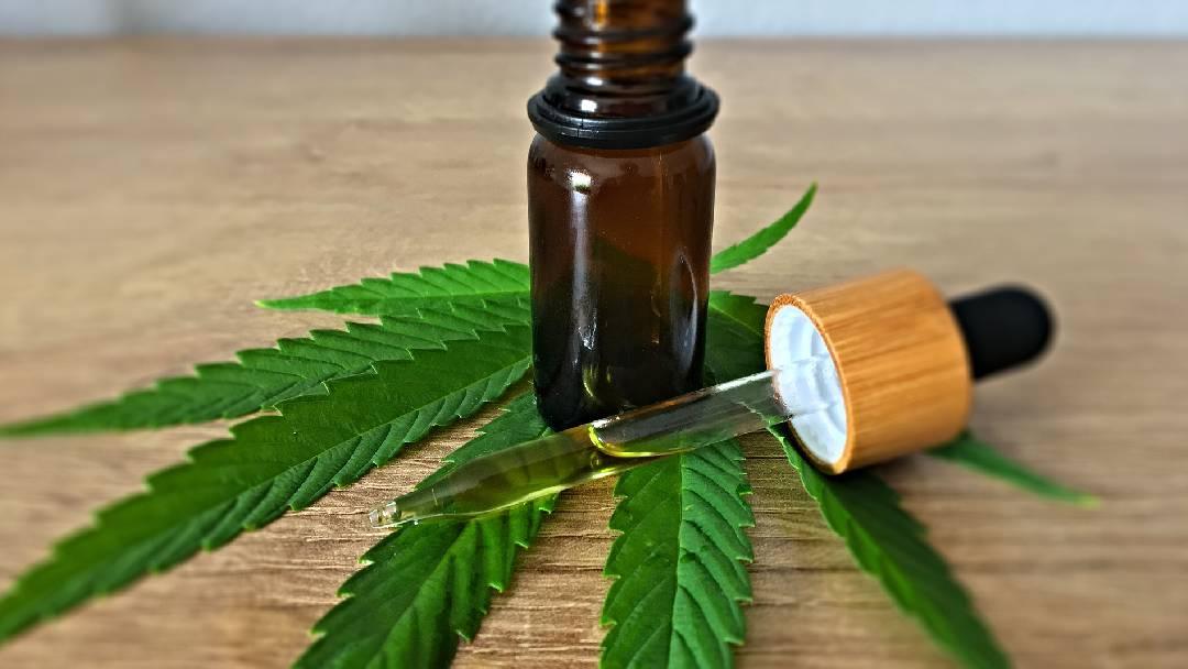 cannabis leaf and bottle of CBD oil