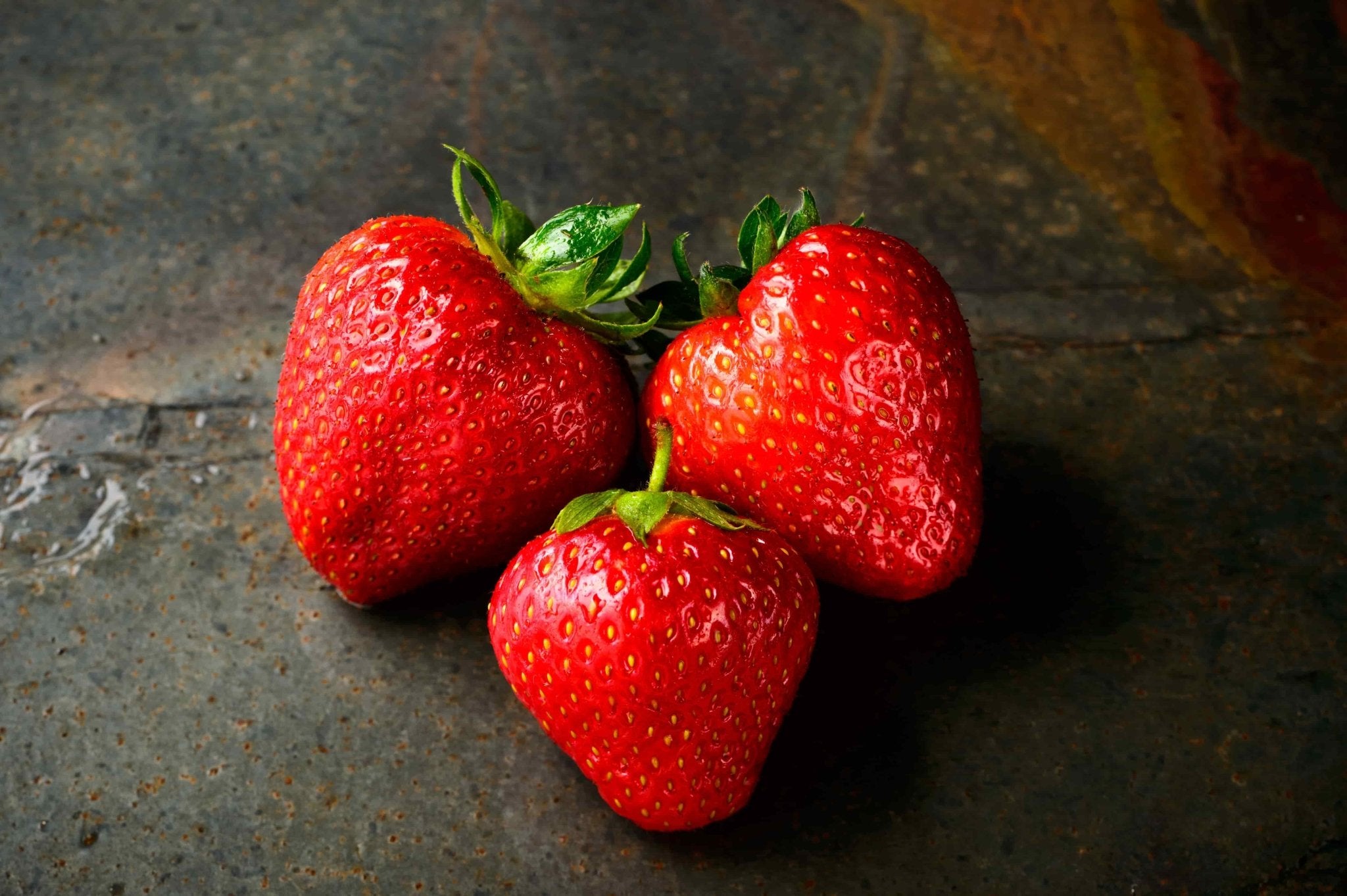 Can Dogs Eat Strawberries: A Comprehensive Guide