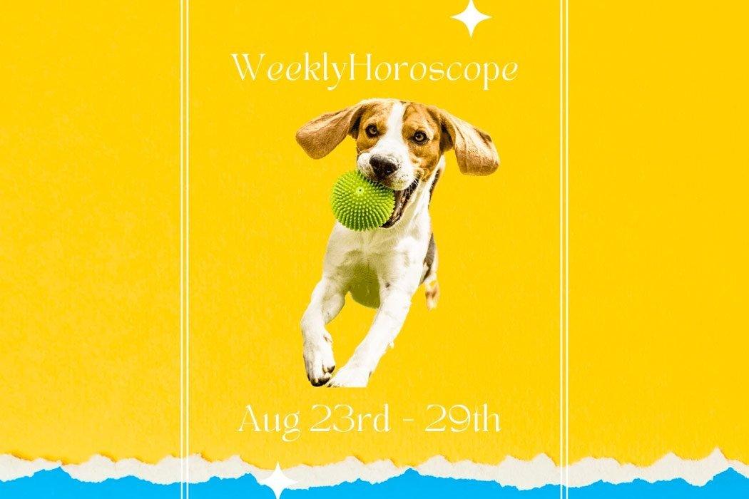 Week Of August 29th Doggy Horoscopes - Dope Dog 
