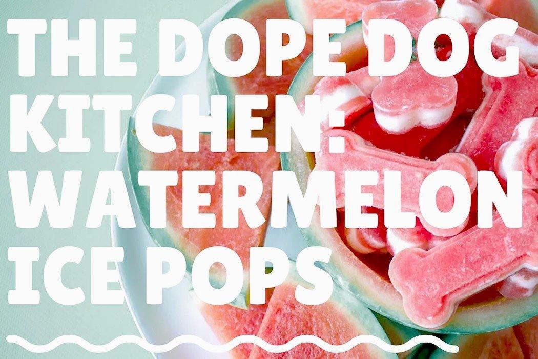 Frozen Watermelon Dog Treat Recipe - Dope Dog 
