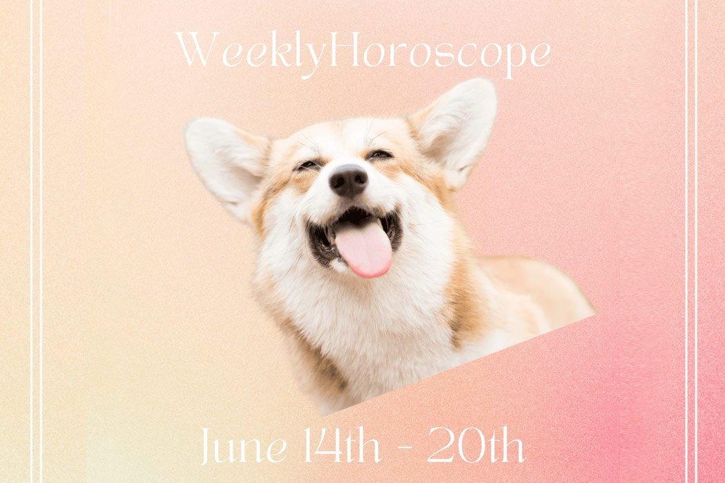 Week of June 14th-20th Doggy Horoscopes - Dope Dog 