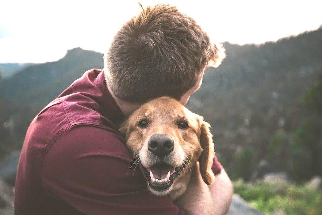  photo of man hugging tan dog