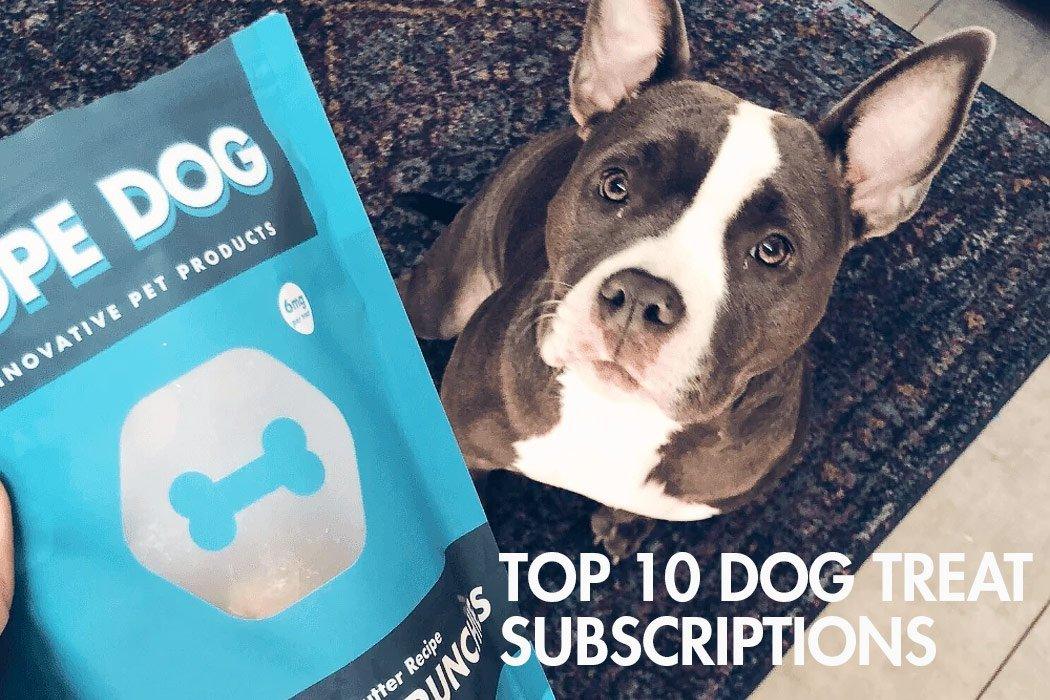 Top 10 Dog Treat Subscriptions That You Should Try! - Dope Dog 