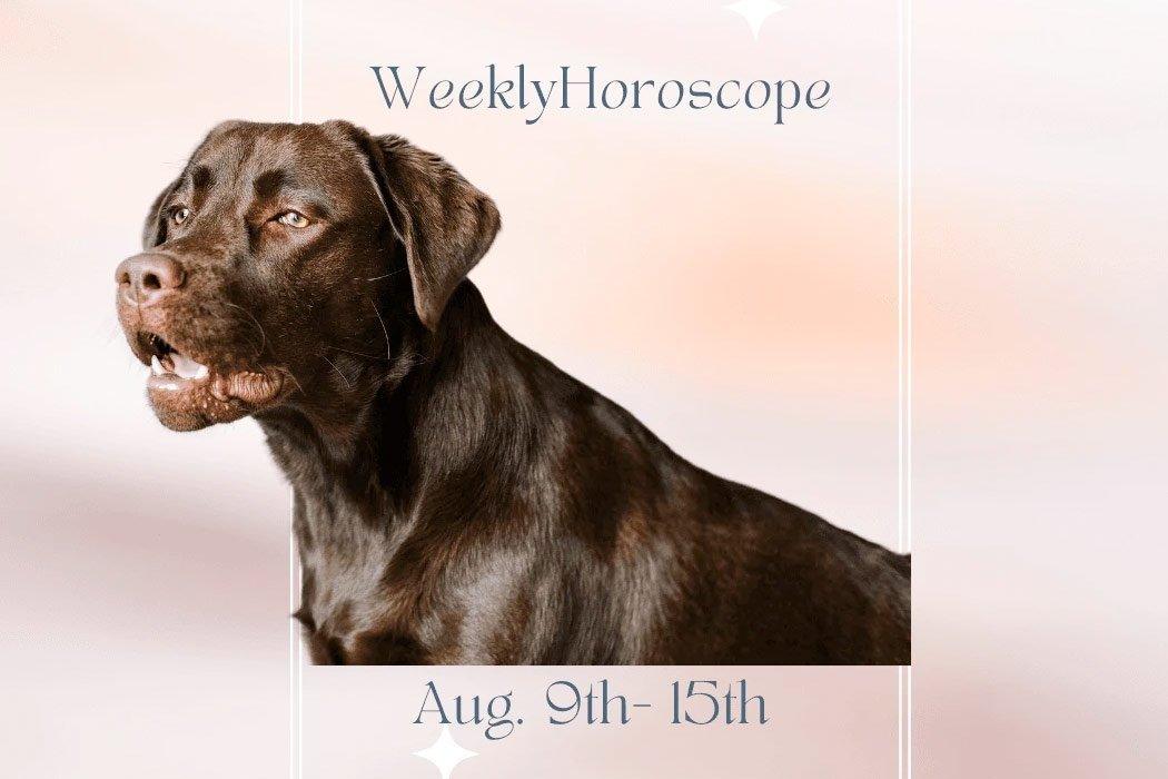 Week Of August 15th Doggy Horoscopes - Dope Dog 