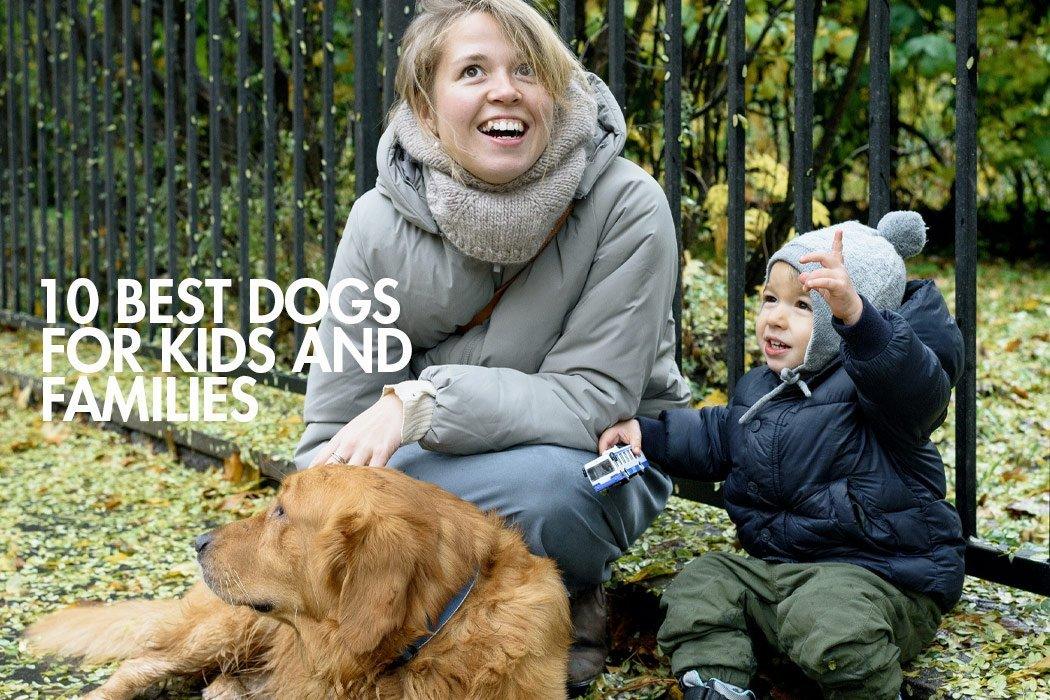 10 Best Dogs for Kids and Families