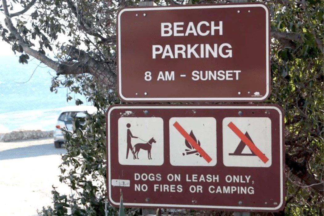 Top 5 Dog Beaches in Los Angeles and Orange County - Dope Dog 