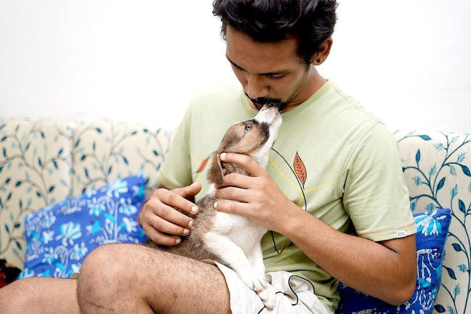 Can Humans Take Pet CBD Oil? Dope Dog