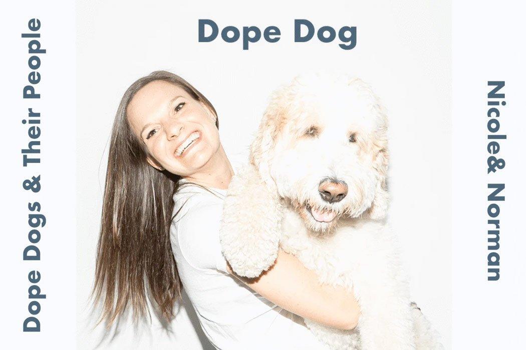 A Bunny Trapped in a Dog's Body: Meet Norman and His Person, Nicole Ozeran - Dope Dog 