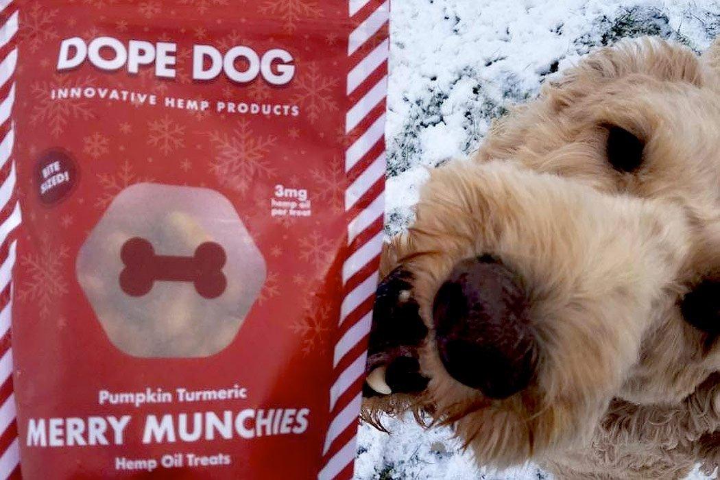 27 Best Christmas Gifts for Dog Lovers - Dope Dog 