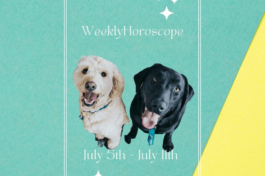 July 5th-11th Doggy Horoscopes - Dope Dog 