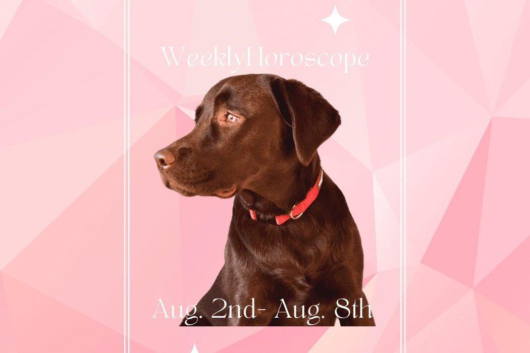 Week Of August 2nd - 8th - Dope Dog 