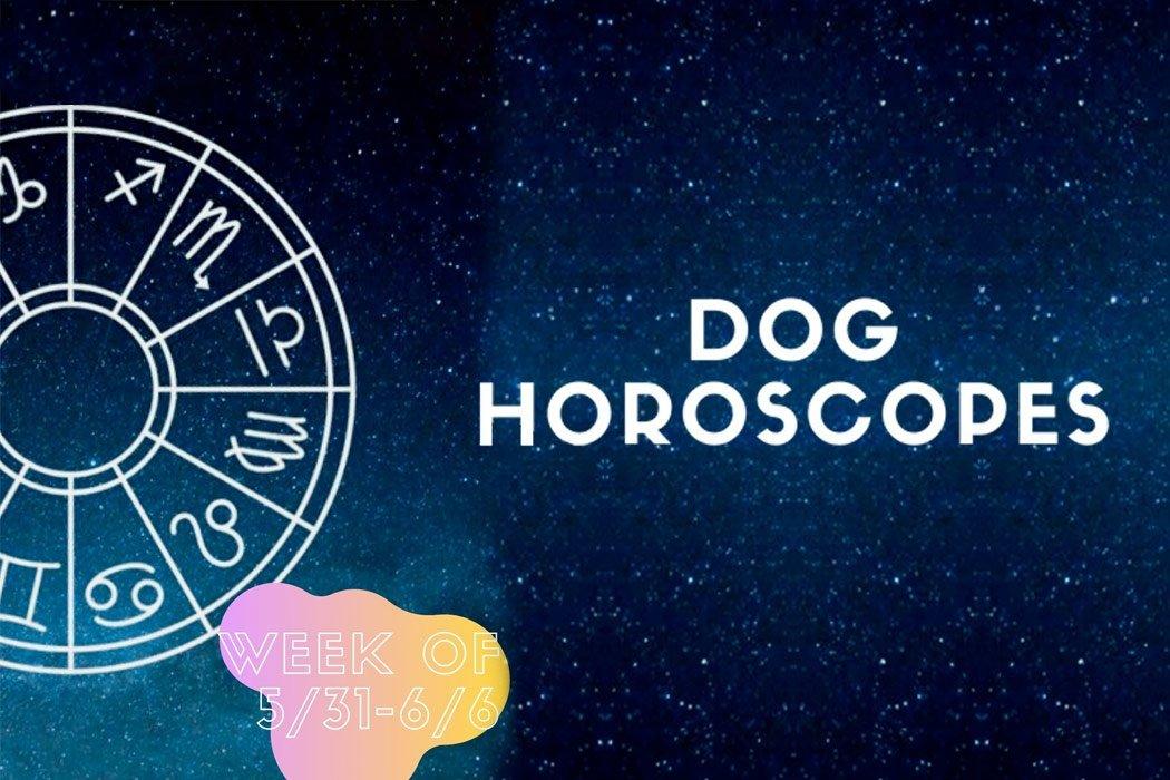 Doggie Horoscopes Week of May 31st - June 6th - Dope Dog 