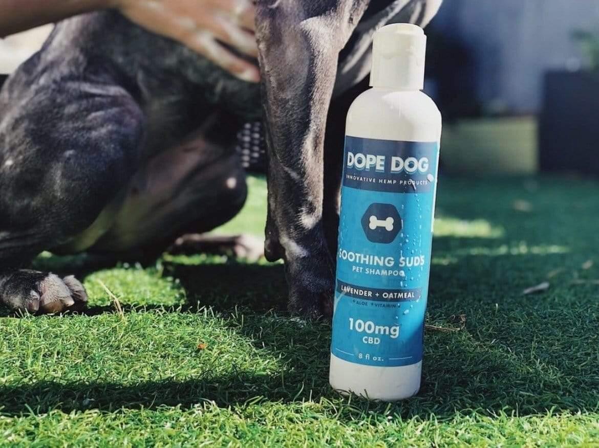 Soothing Suds CBD Shampoo - Dope Dog 